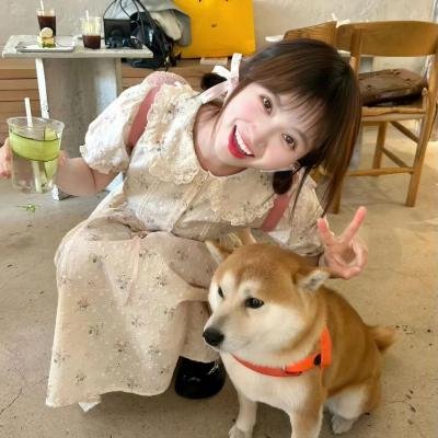 莫斯科郊外的晚上
